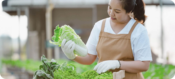 Food Processing Positions in Europe, Asia, and Canada